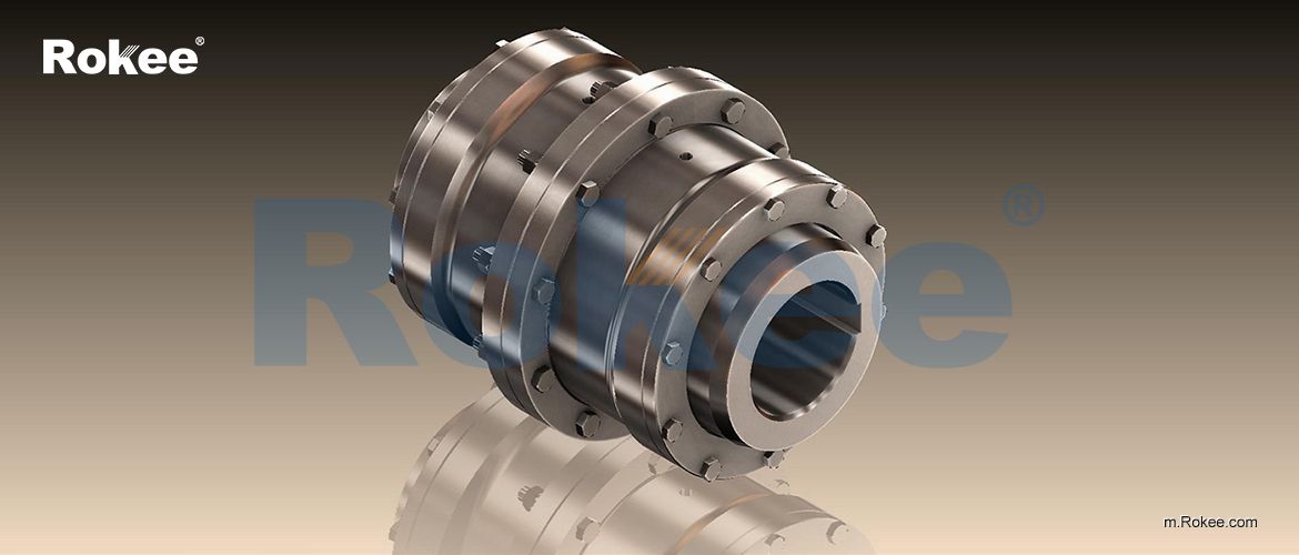 WGC Drum Gear Coupling