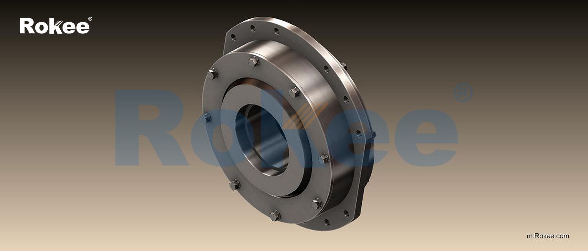 WZL Drum Coupling